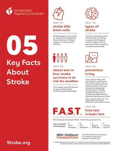5 Key Facts About Stroke infographic 5 Key Facts About Stroke infographic