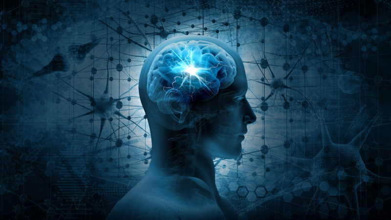 perfil de una cabeza azul