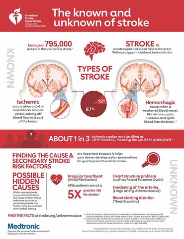 Cryptogenic Stroke Infographic Cryptogenic Stroke Infographic