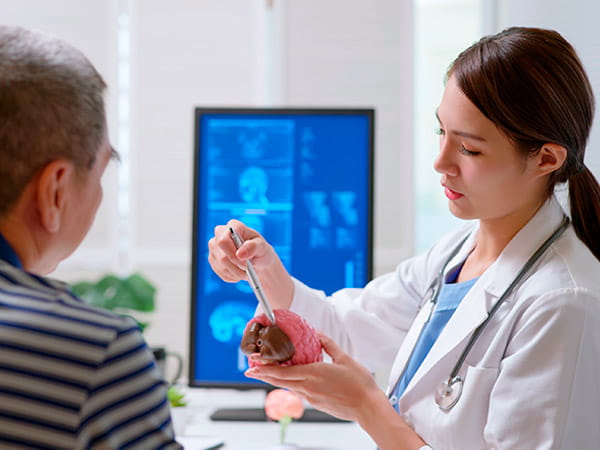A young female doctor is using a brain model in an explanation to an older male patient.