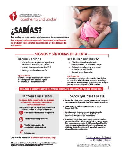 Infografía del ataque o derrame cerebral perinatal Infografía del ataque o derrame cerebral perinatal